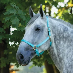 Dura-Tech® Draft Horse Nylon Breakaway Turnout Halter