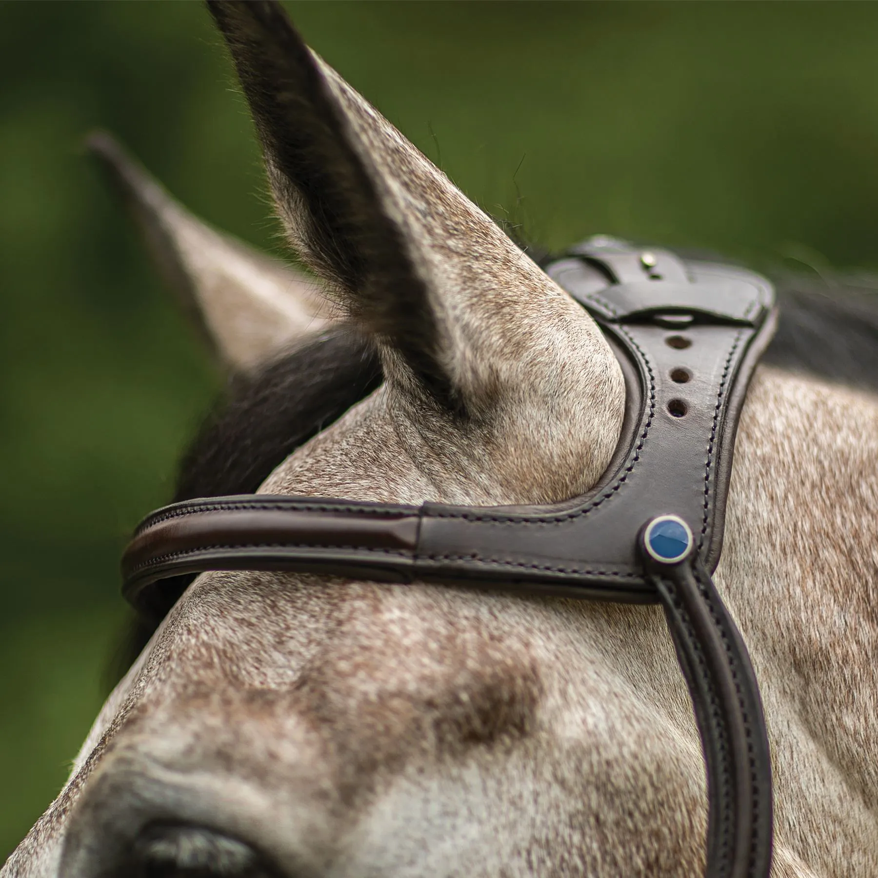 Stubben Freedom English Bridle - Image 2