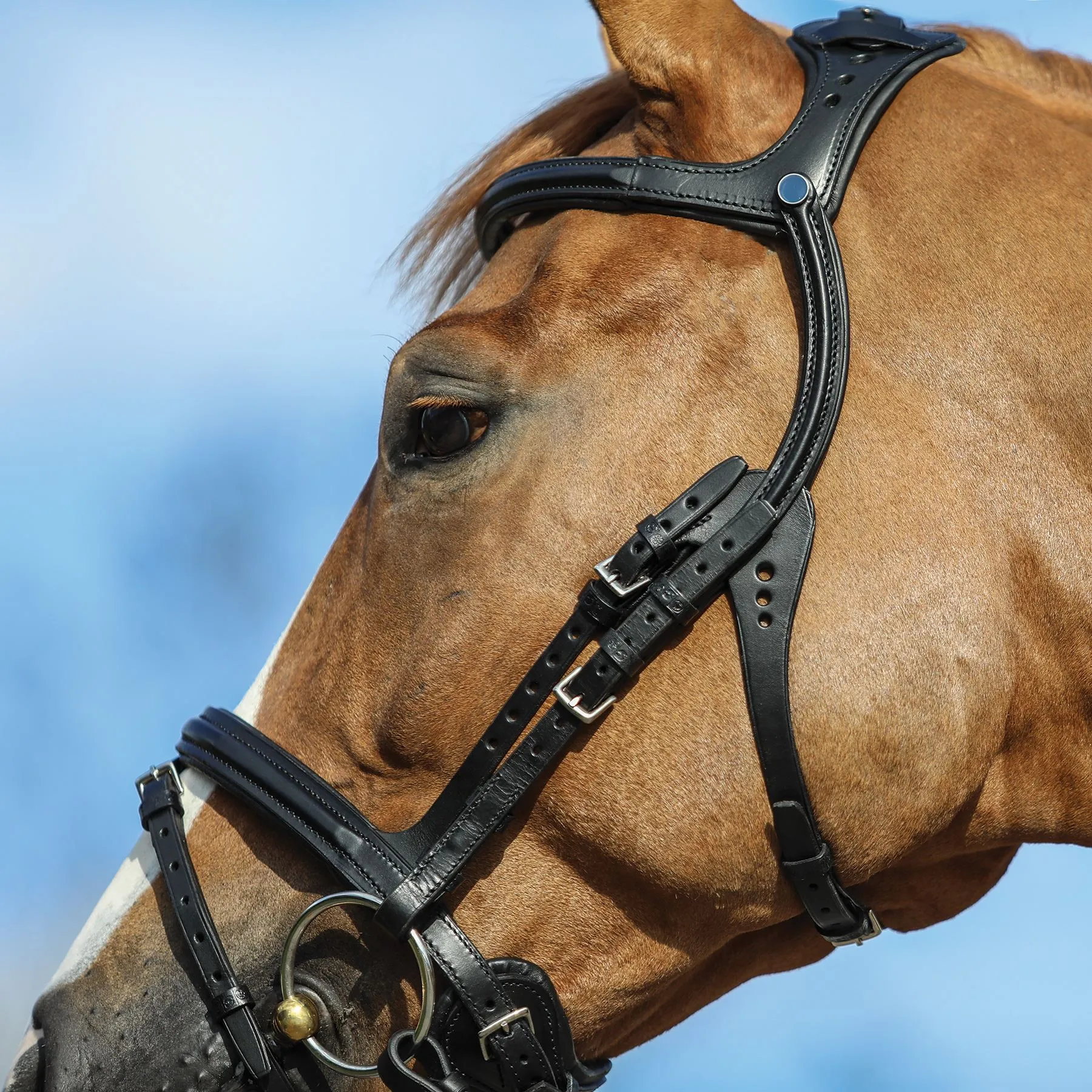 Stubben Freedom English Bridle - Image 4
