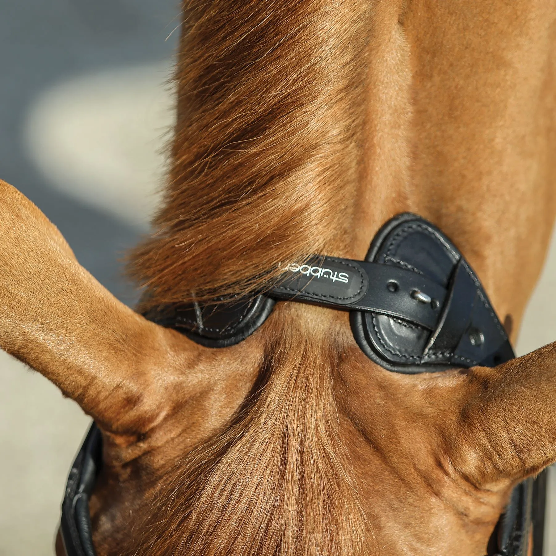 Stubben Freedom English Bridle - Image 5