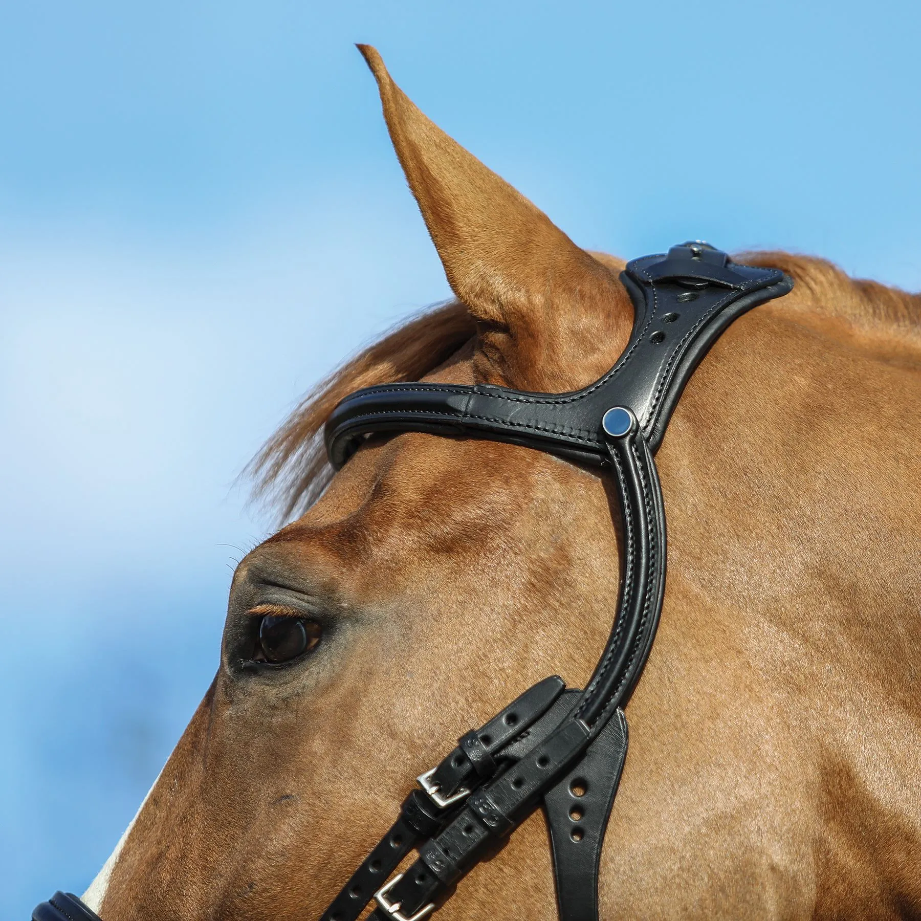 Stubben Freedom English Bridle - Image 6