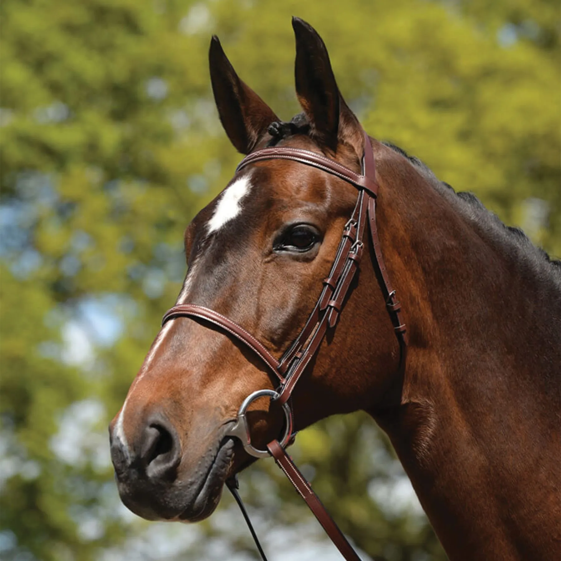 Kincade® Raised Fancy Stitched Bridle - Image 2