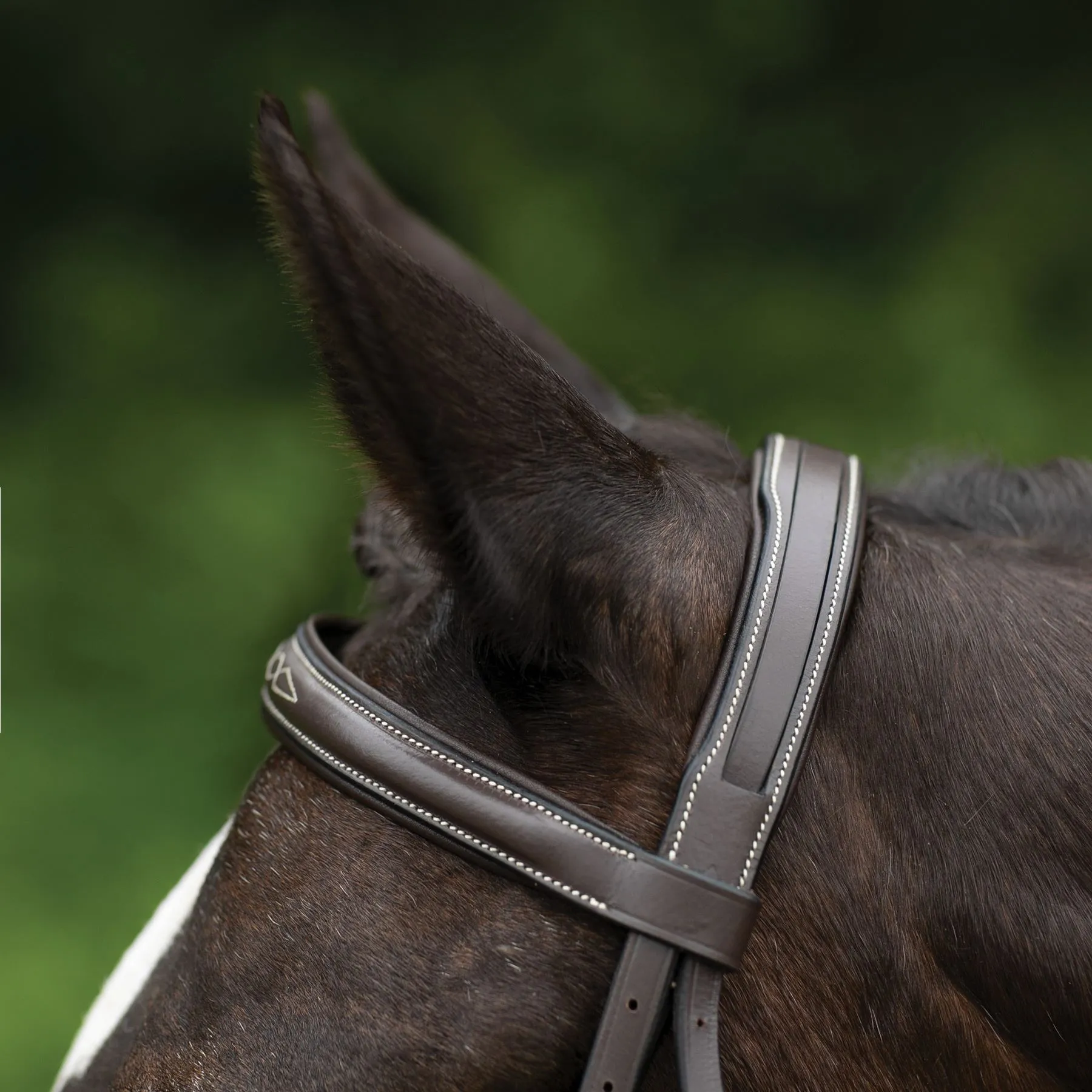 Pinnacle Comfort PlusĀ® Hunter Bridle - Image 3