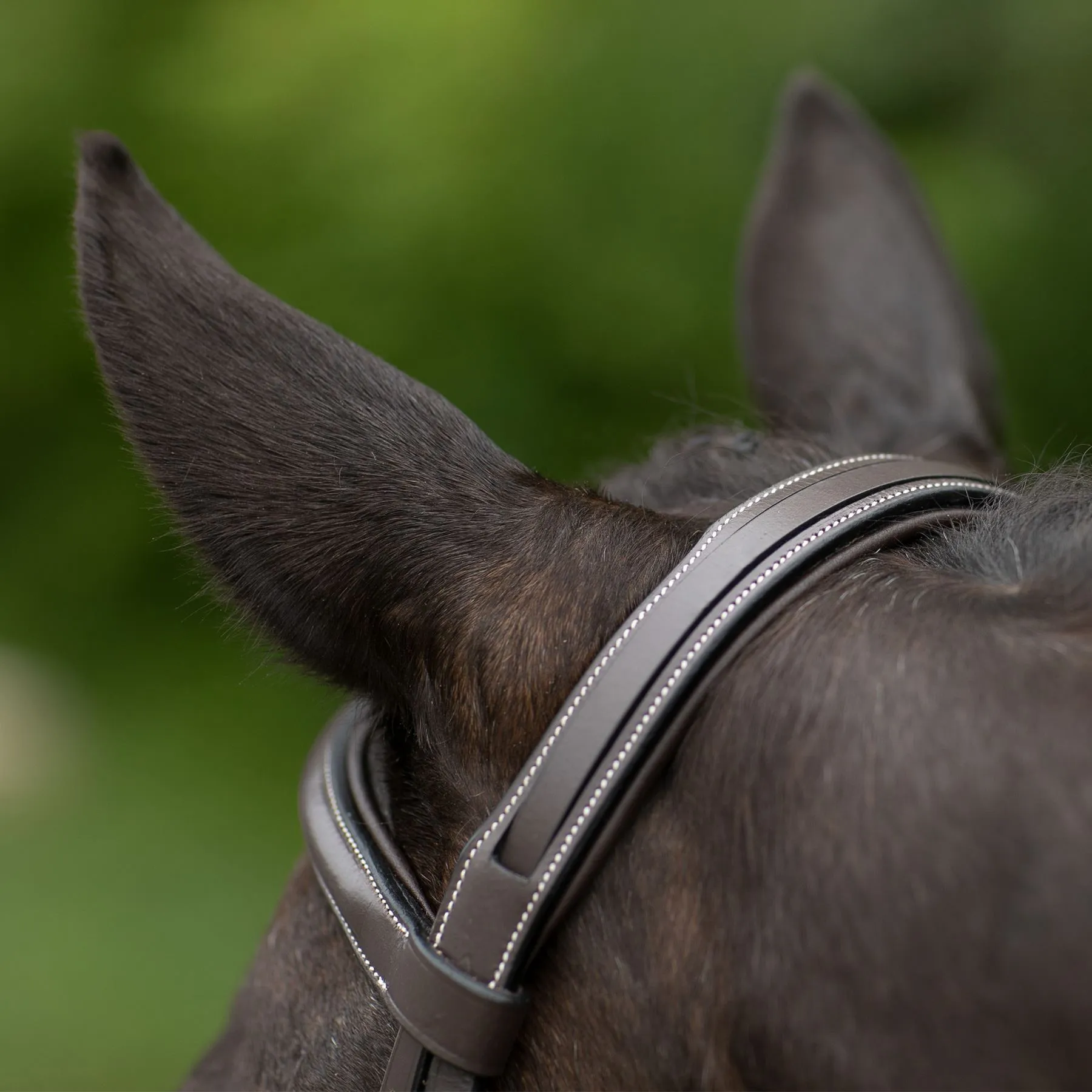 Pinnacle Comfort PlusĀ® Hunter Bridle - Image 4