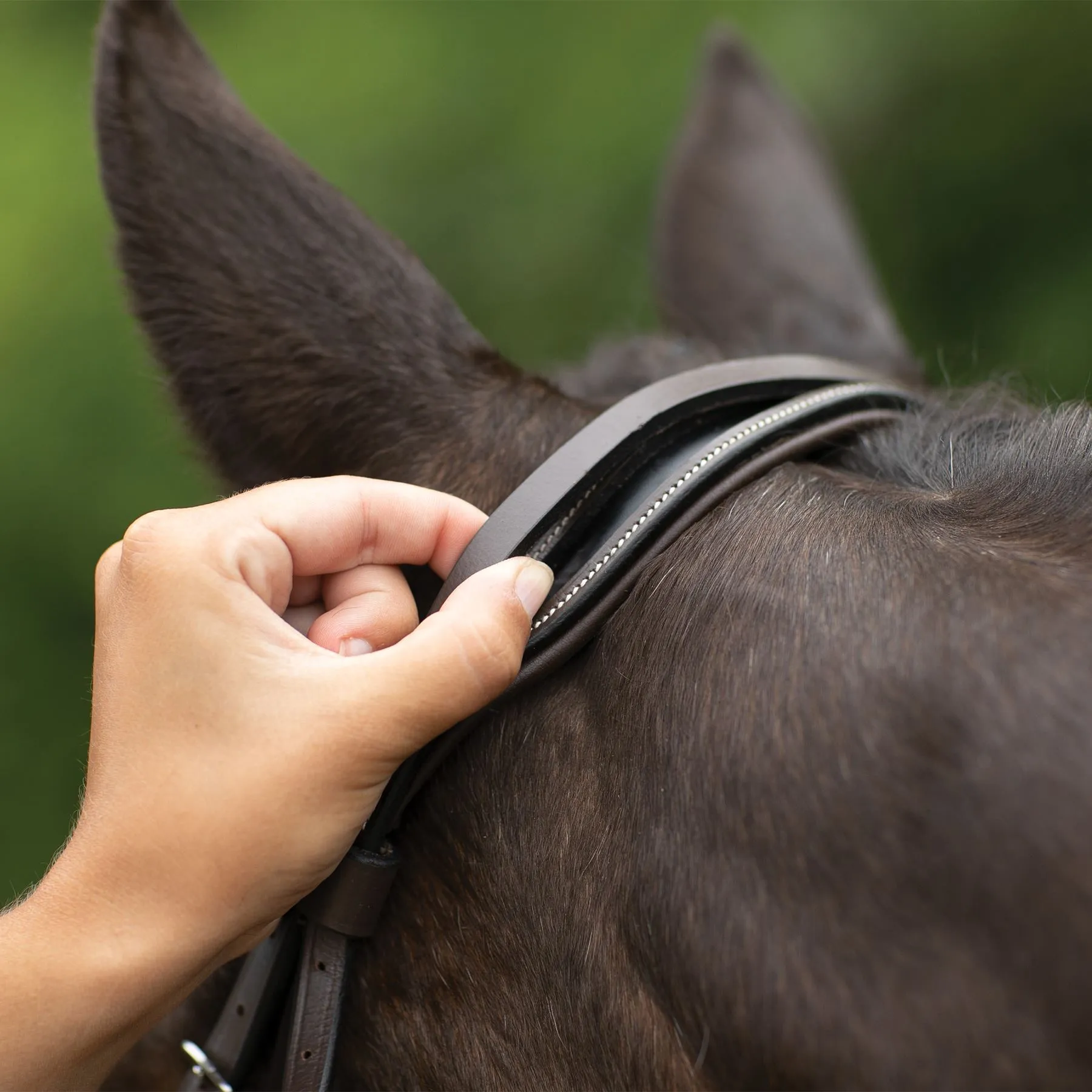 Pinnacle Comfort PlusĀ® Hunter Bridle - Image 5
