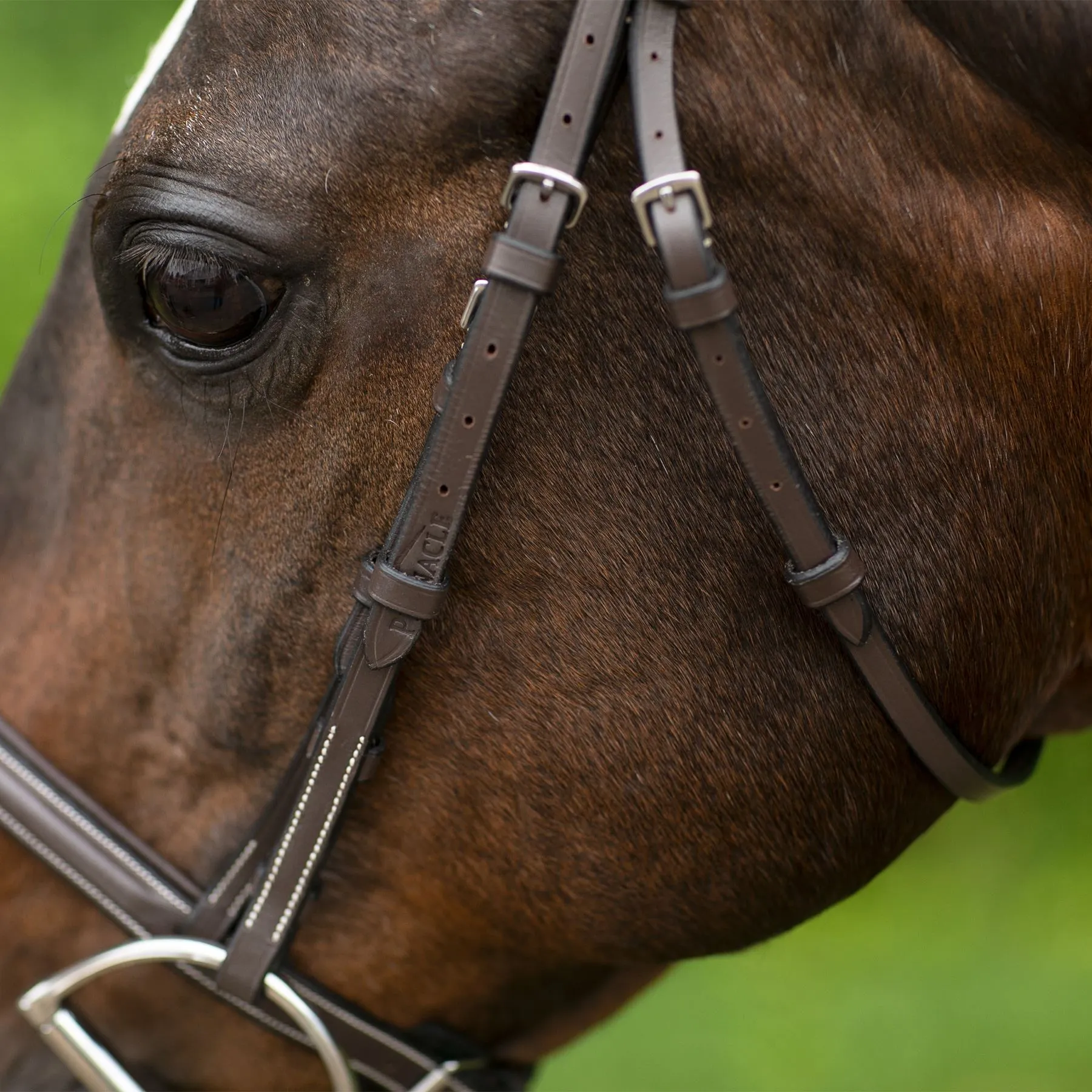 Pinnacle Comfort PlusĀ® Hunter Bridle - Image 6