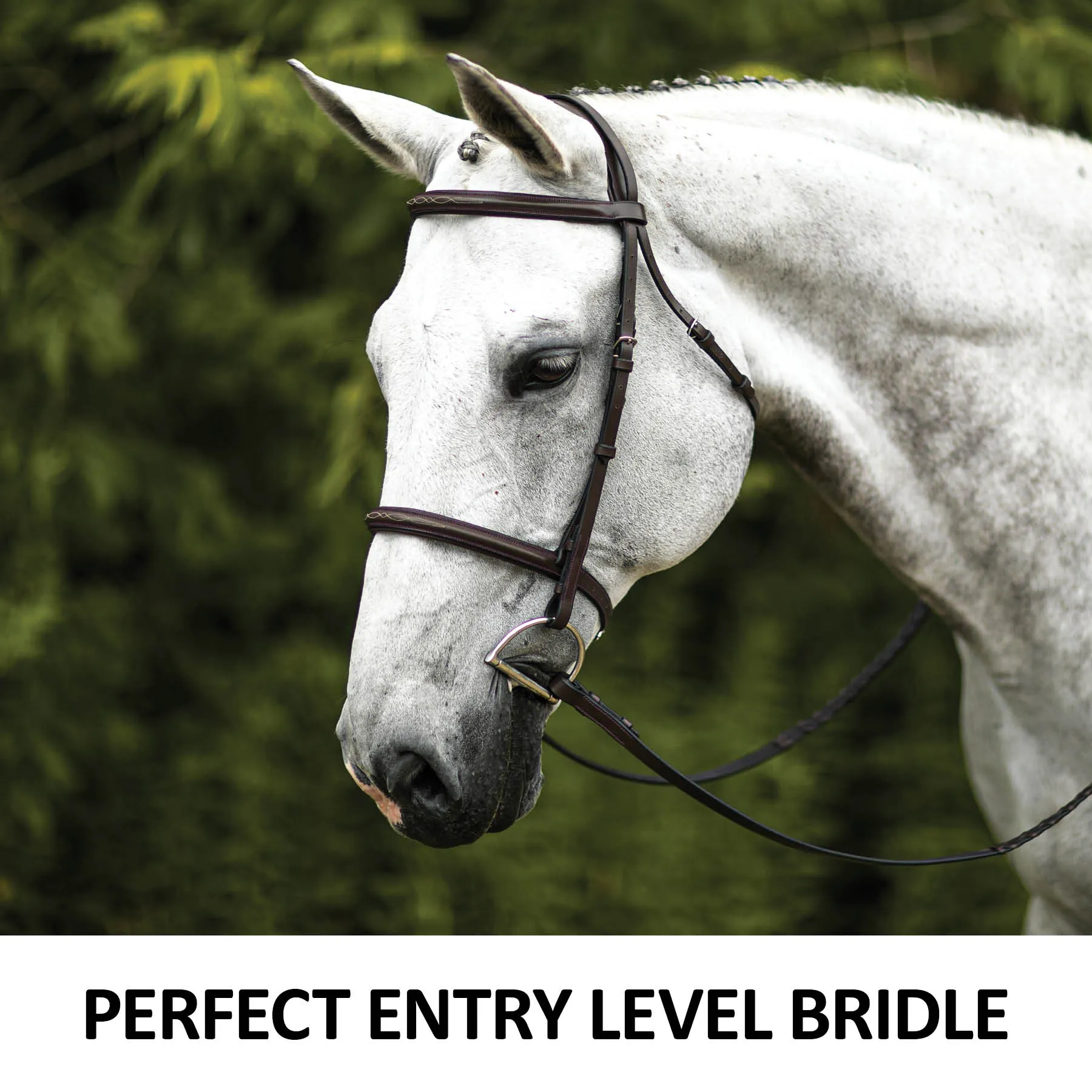 Premier® Premier Comfort Plus Padded Fancy Stitch Hunter Bridle For Horses - Image 2