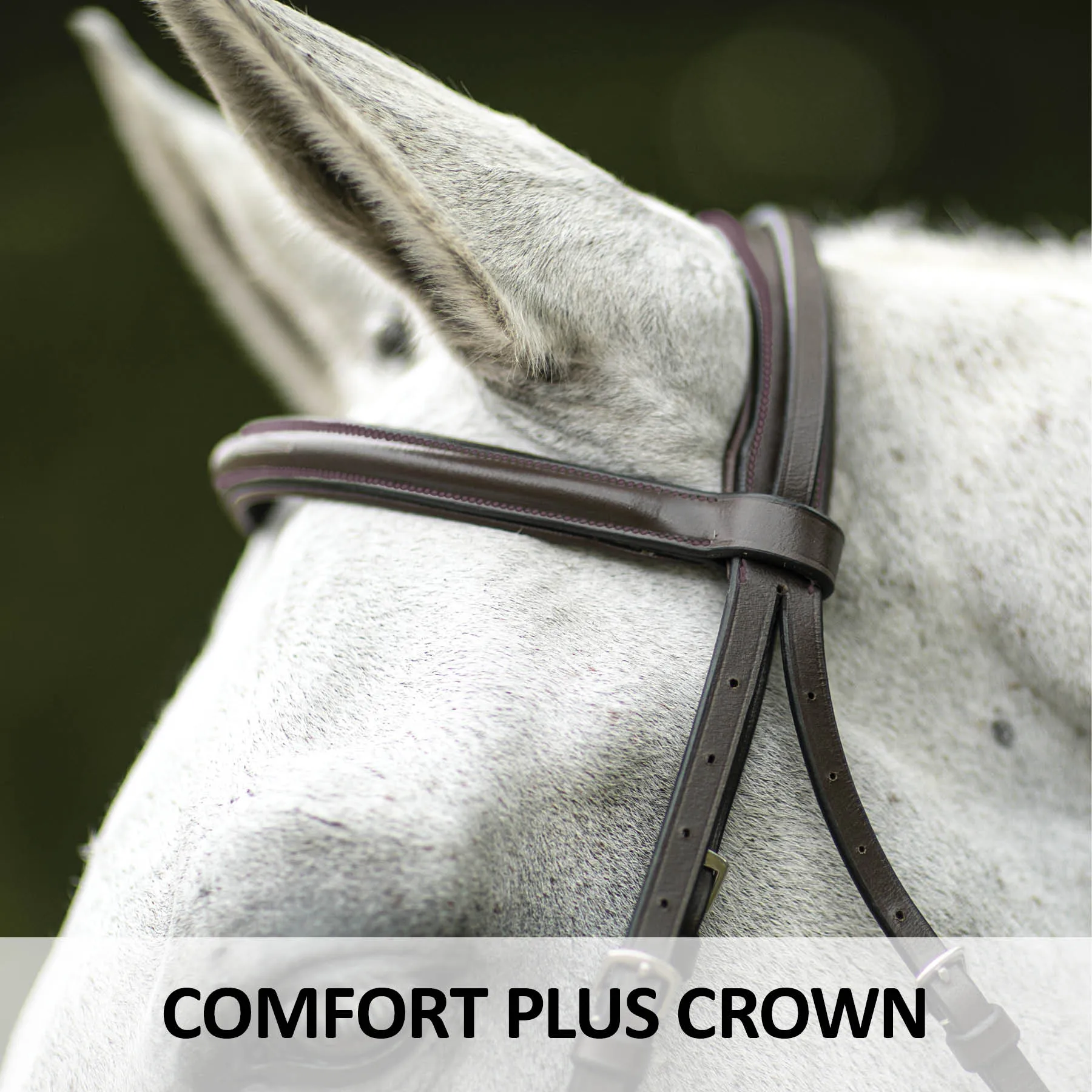 Premier® Premier Comfort Plus Padded Fancy Stitch Hunter Bridle For Horses - Image 3