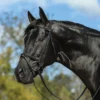 Premier® Premier Petite Dressage Bridle For Horses