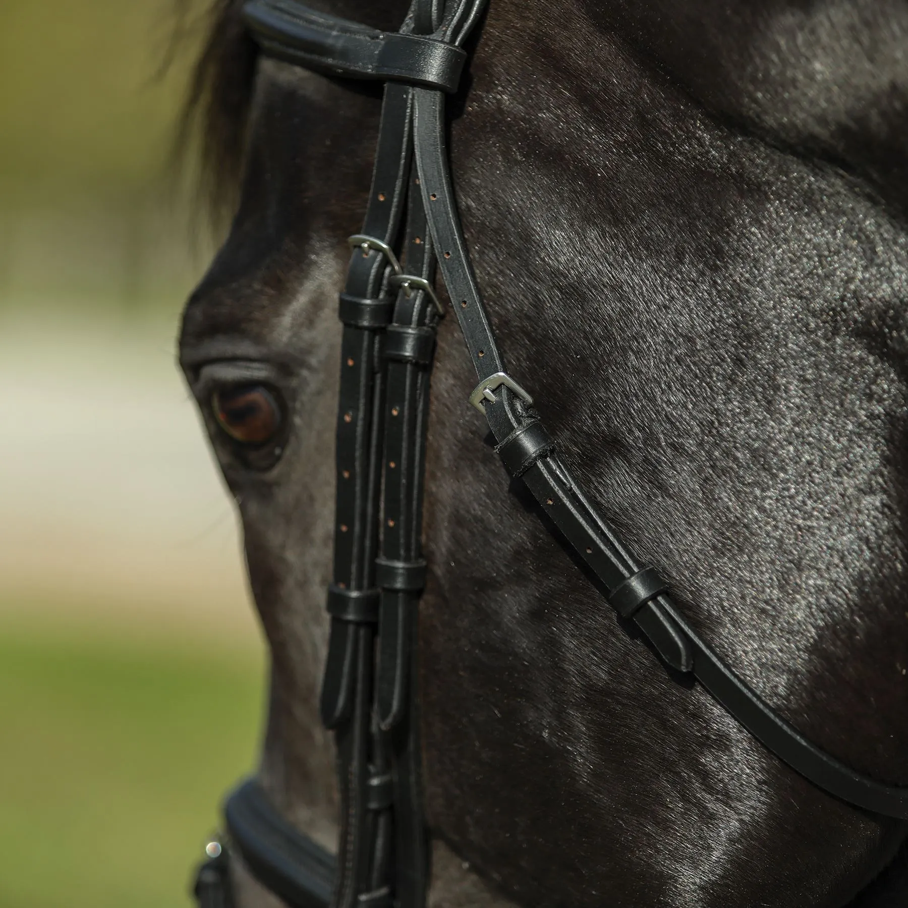 Premier® Premier Petite Dressage Bridle For Horses - Image 11
