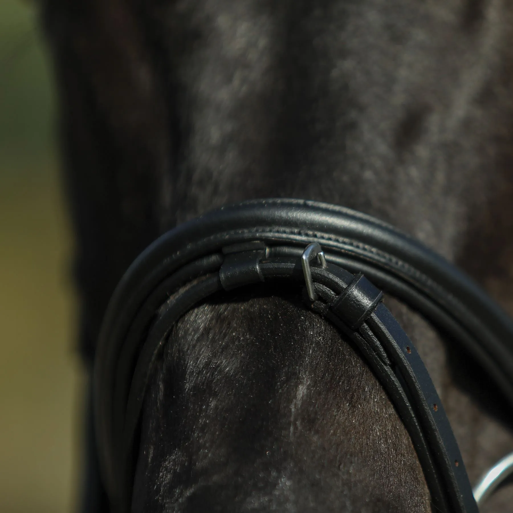 Premier® Premier Petite Dressage Bridle For Horses - Image 12