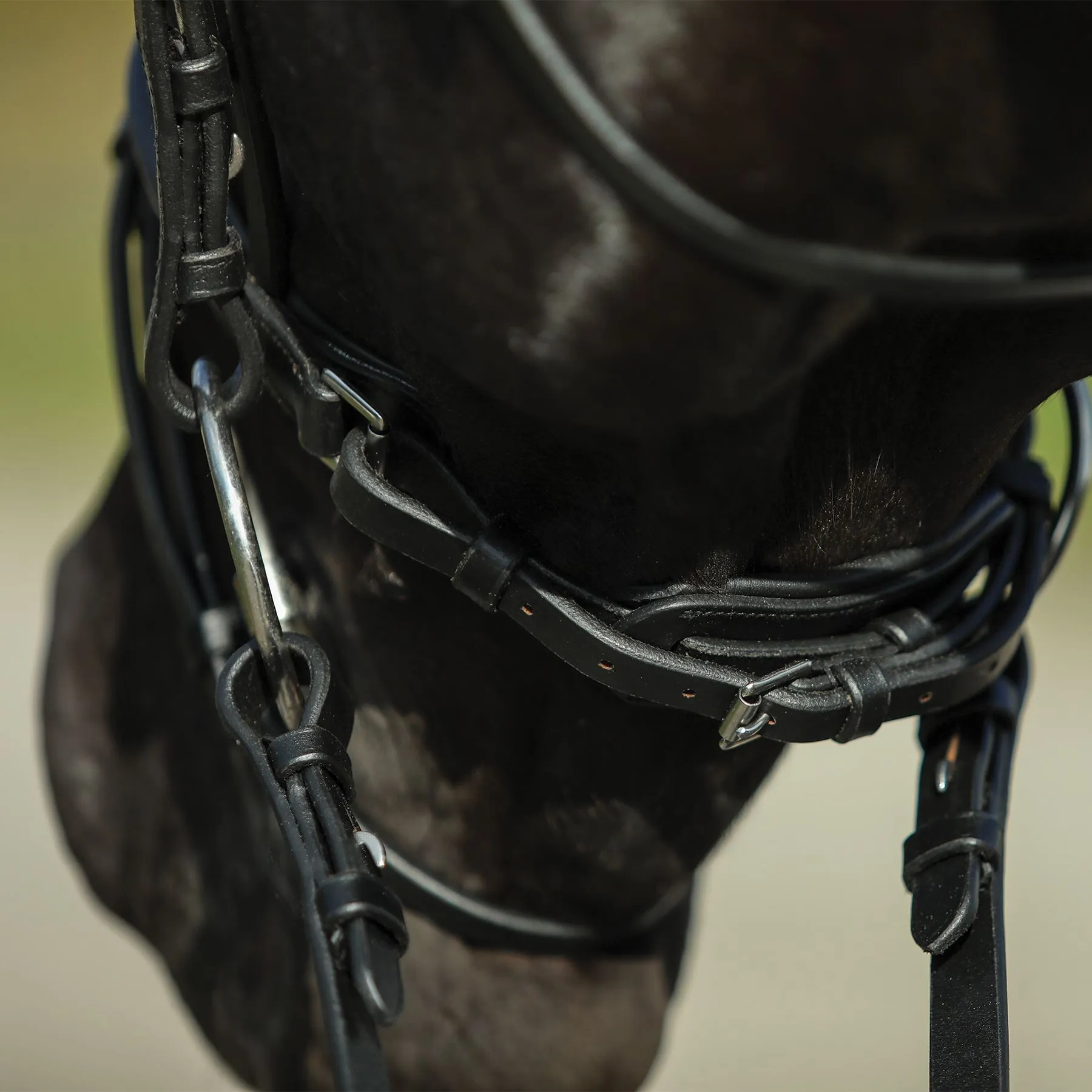Premier® Premier Petite Dressage Bridle For Horses - Image 13