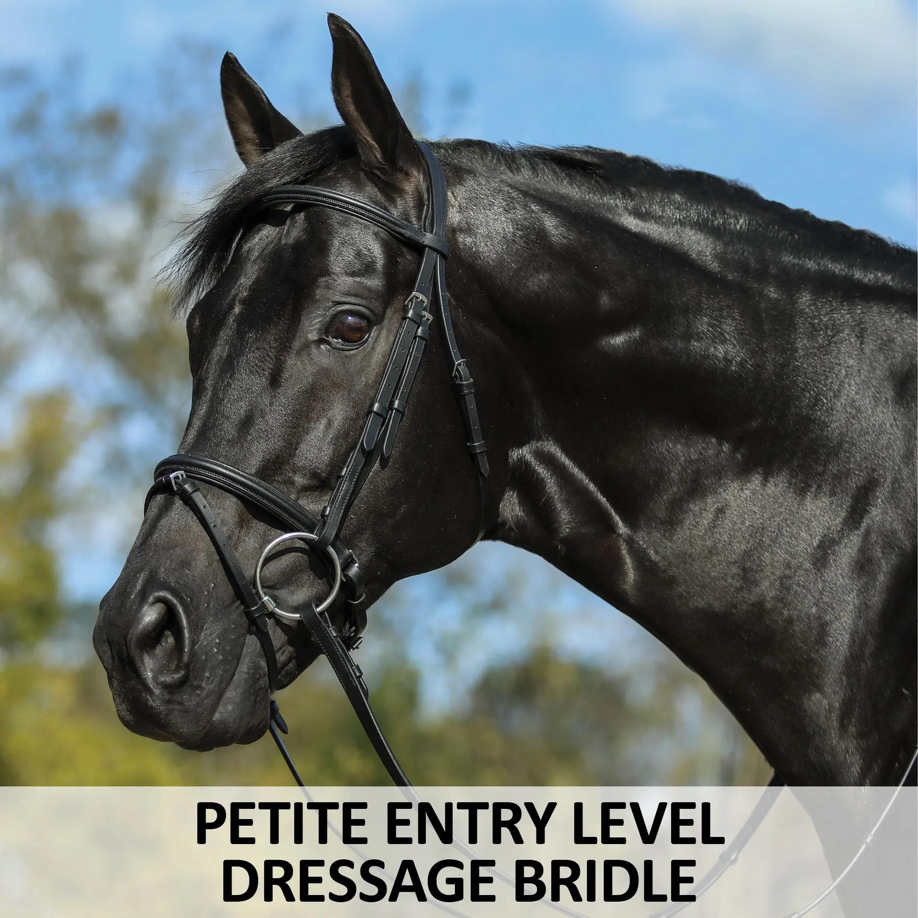 Premier® Premier Petite Dressage Bridle For Horses - Image 2