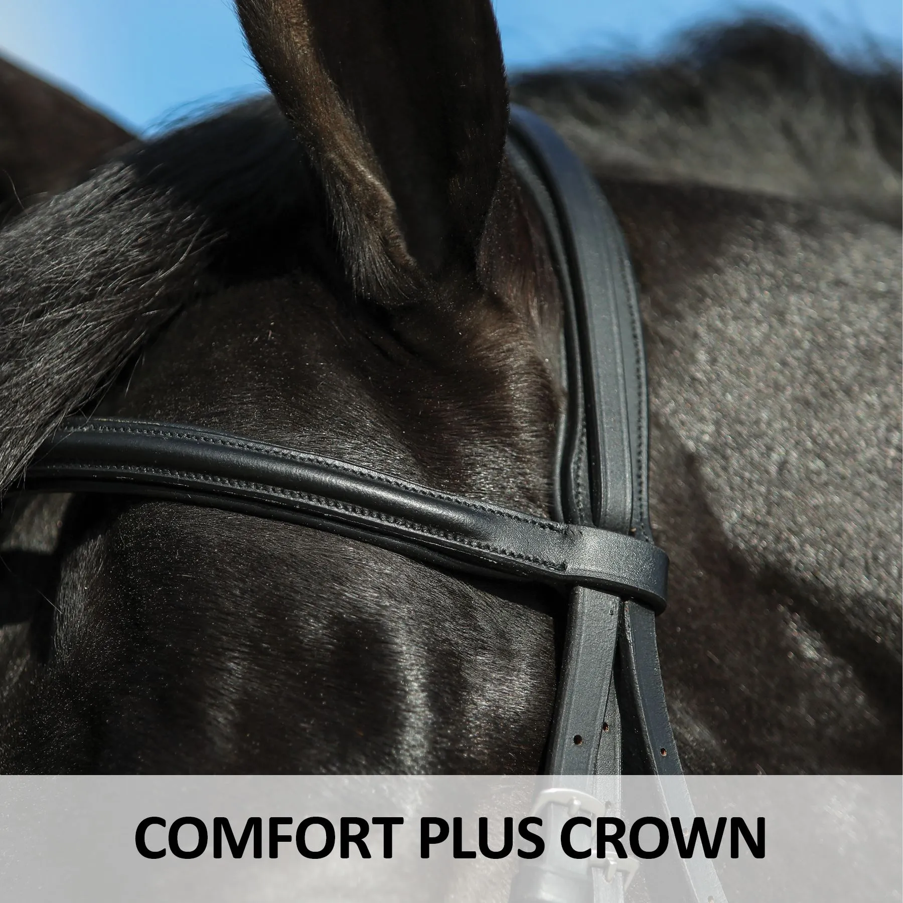 Premier® Premier Petite Dressage Bridle For Horses - Image 3