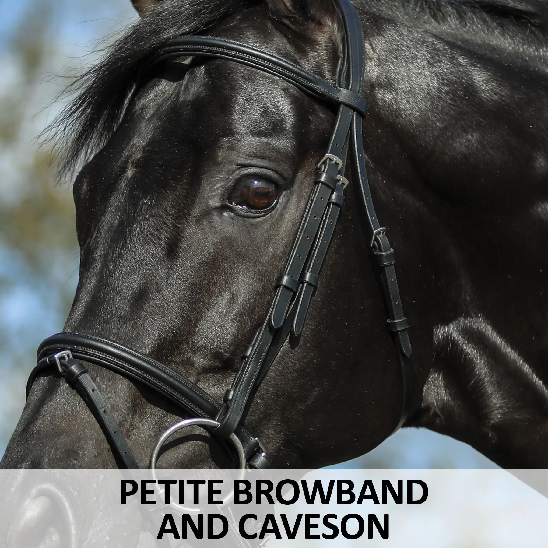 Premier® Premier Petite Dressage Bridle For Horses - Image 4