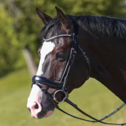 Joseph Sterling® Anatomic Snaffle Monocrown Dressage Bridle With Flash