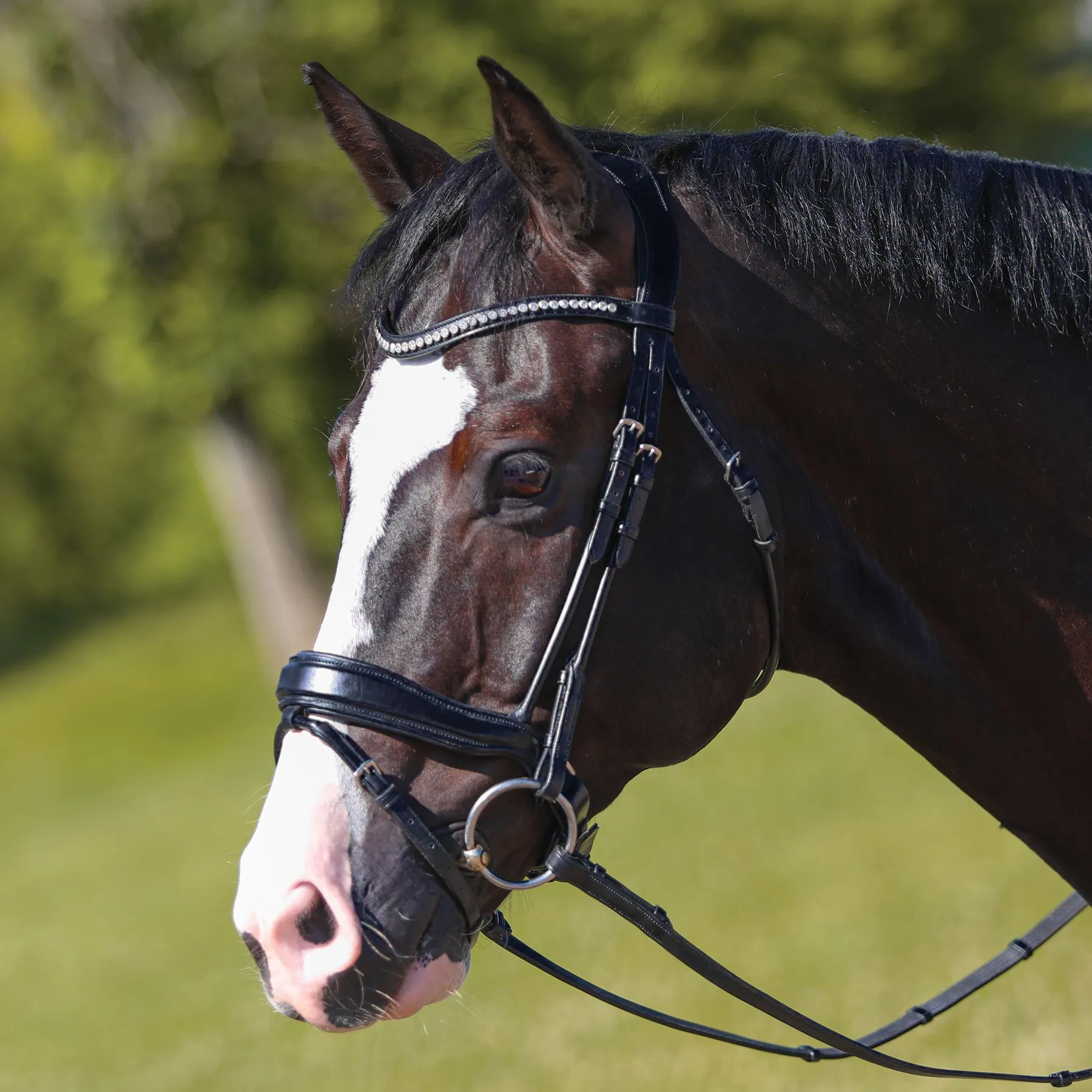 Joseph Sterling® Anatomic Snaffle Monocrown Dressage Bridle With Flash