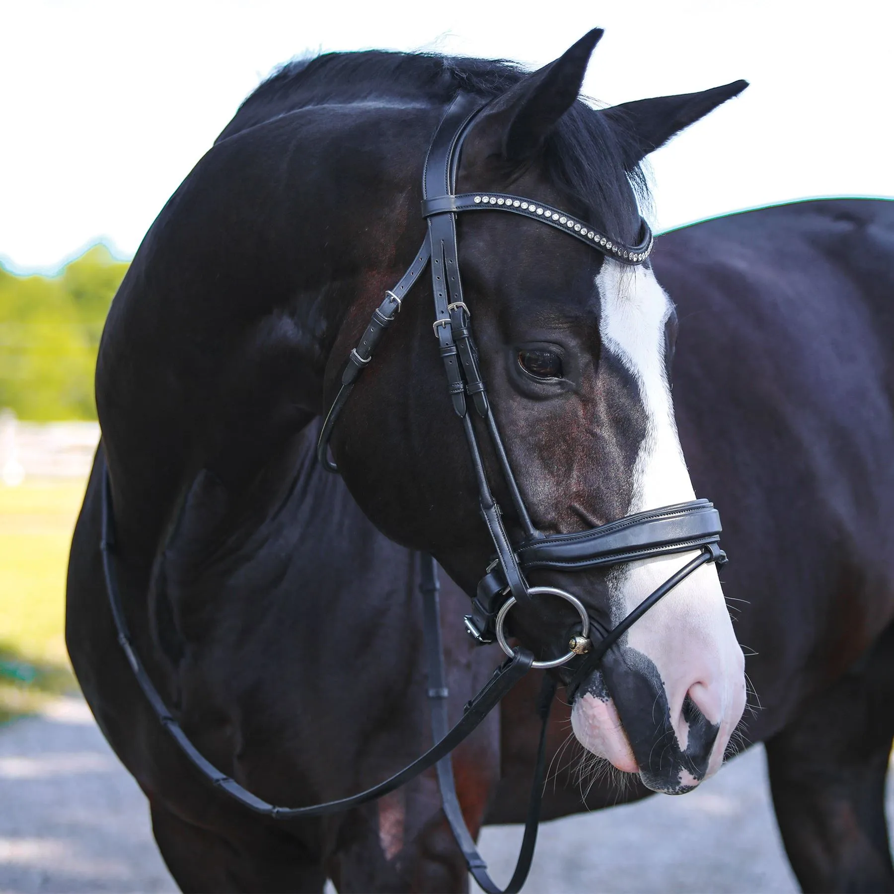 Joseph Sterling® Anatomic Snaffle Monocrown Dressage Bridle With Flash - Image 7