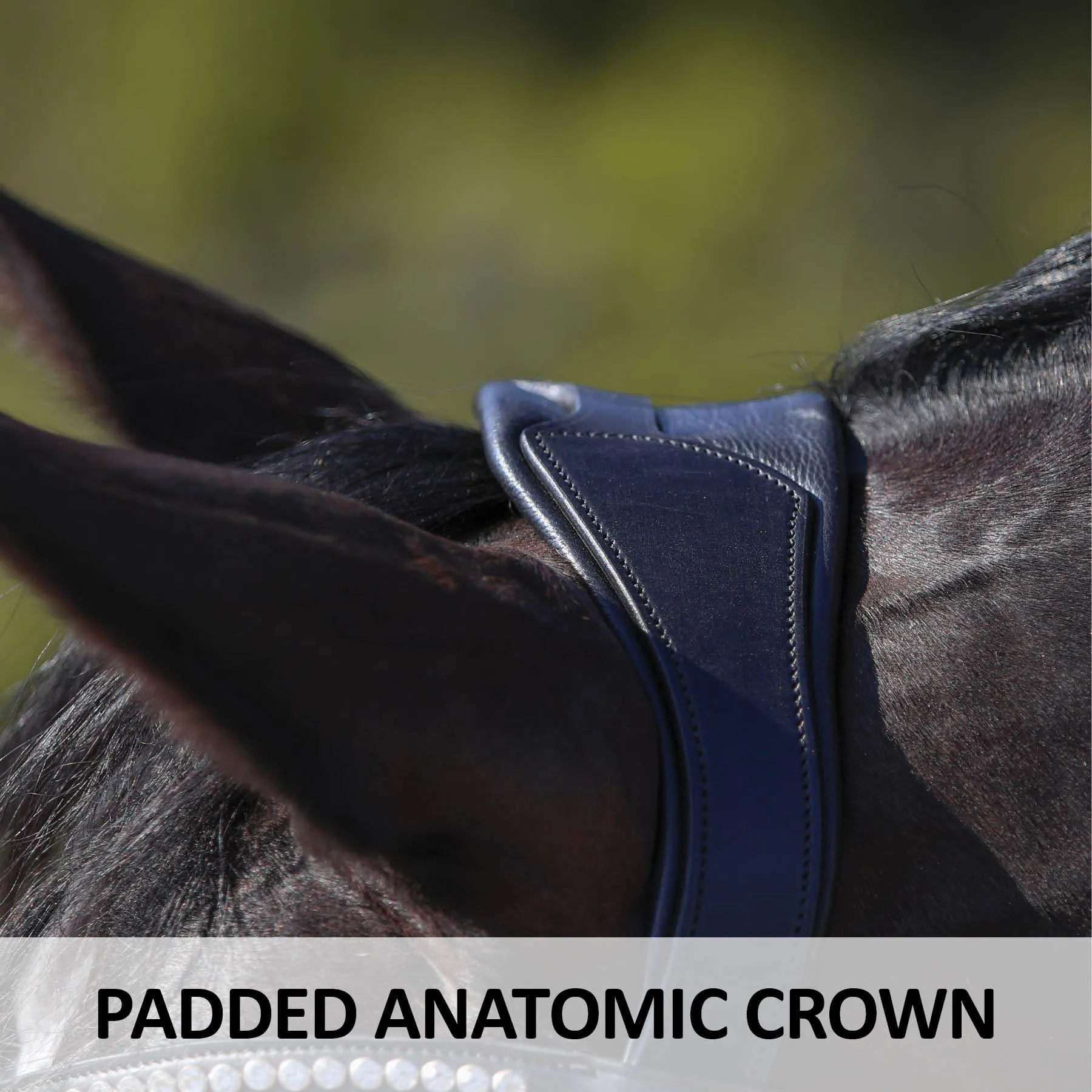 Joseph Sterling® Anatomic Snaffle Monocrown Dressage Bridle With Flash - Image 3