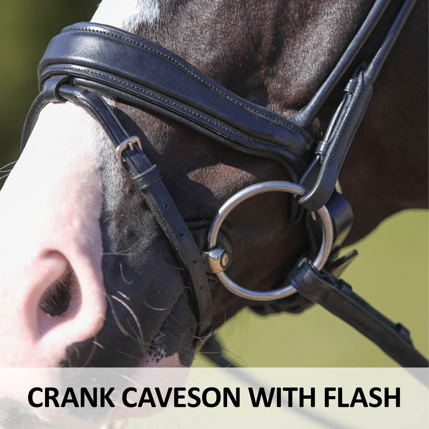 Joseph Sterling® Anatomic Snaffle Monocrown Dressage Bridle With Flash - Image 4