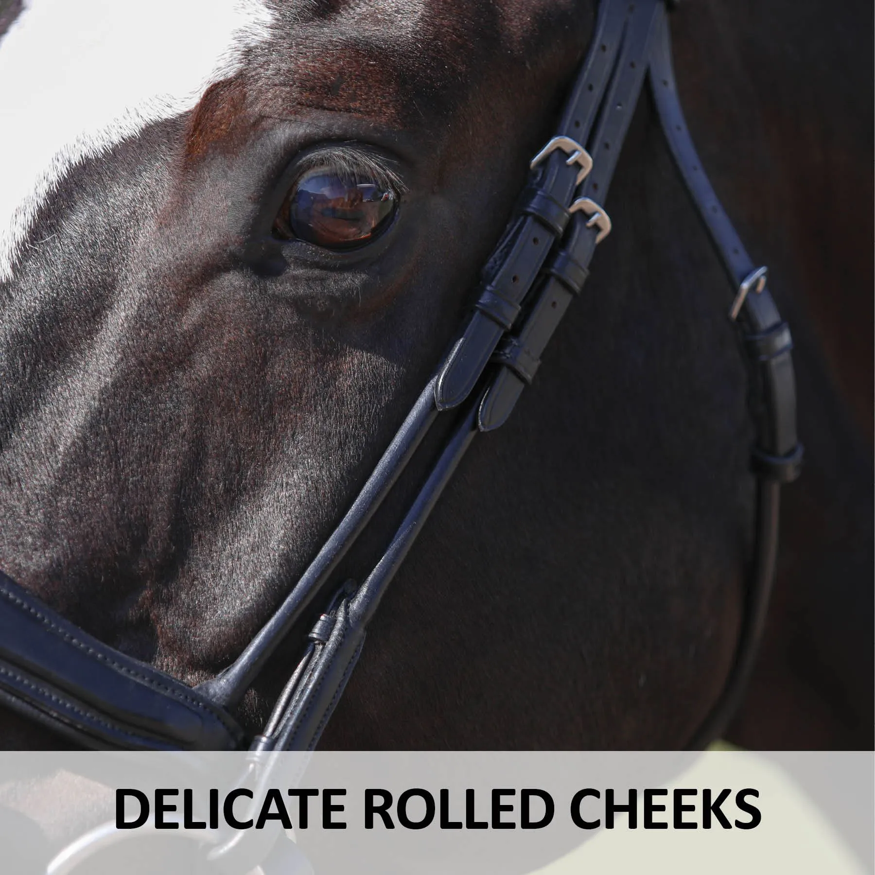 Joseph Sterling® Anatomic Snaffle Monocrown Dressage Bridle With Flash - Image 5