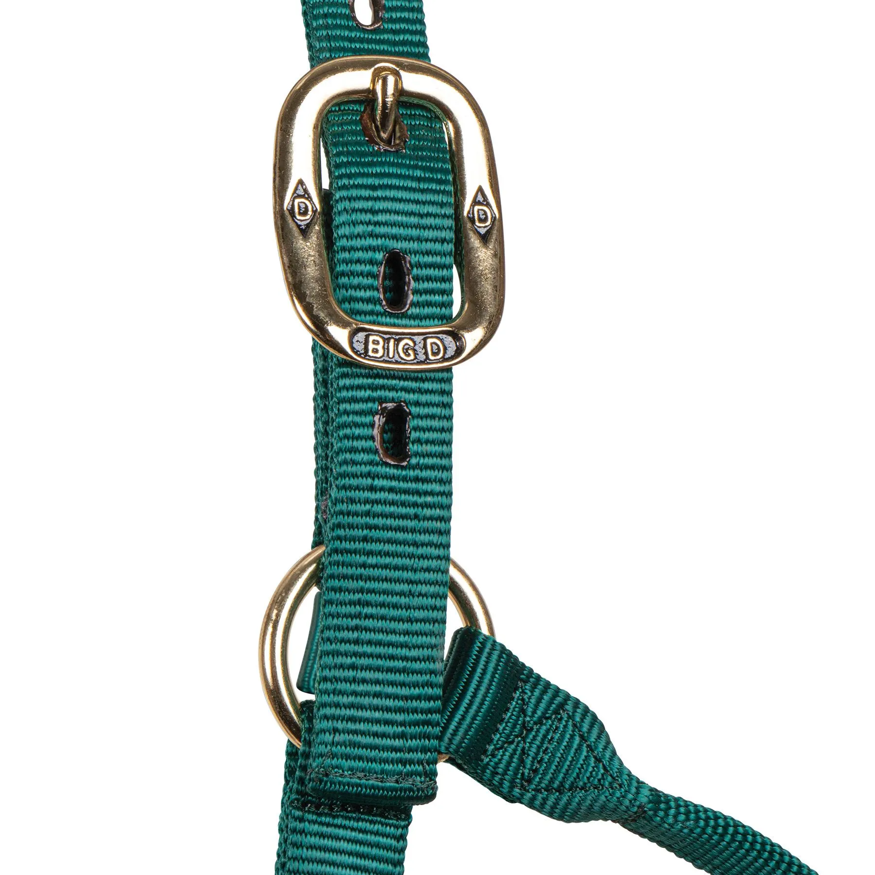 Big "D" Nylon Halter - Image 2