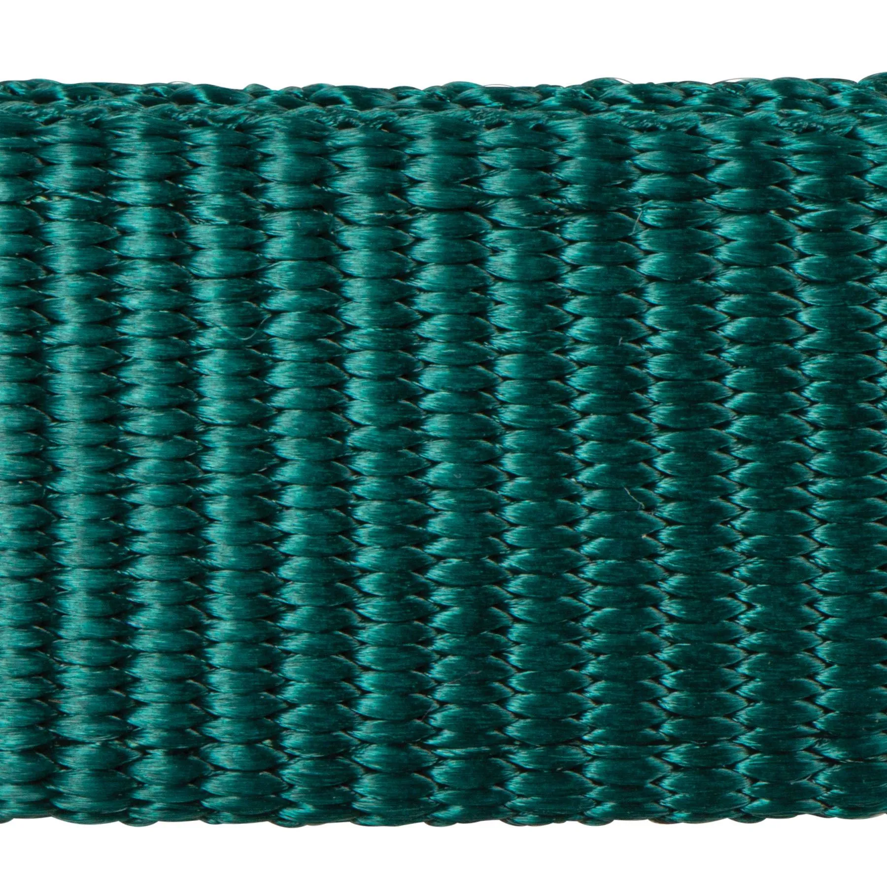 Big "D" Nylon Halter - Image 4