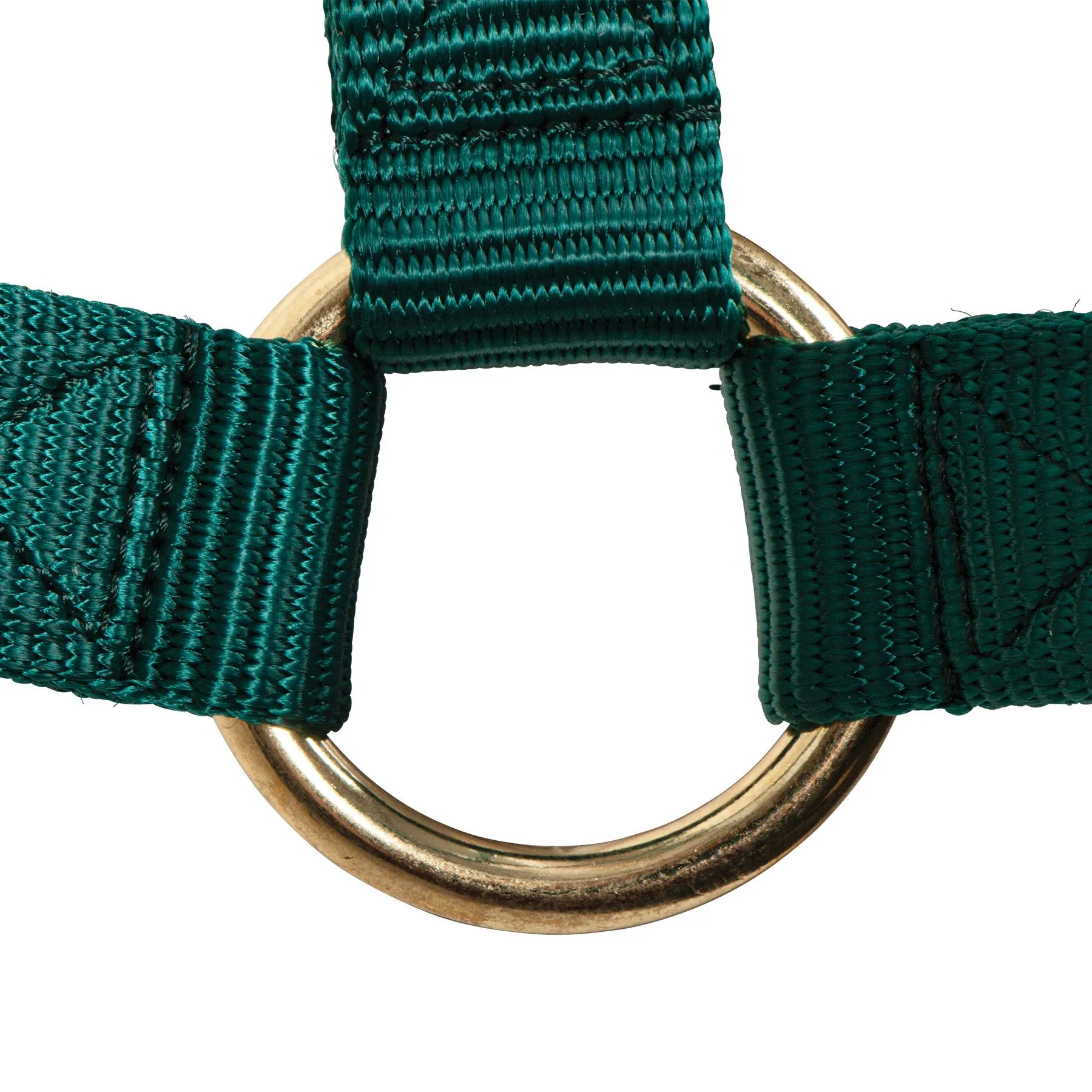 Big "D" Nylon Halter - Image 5