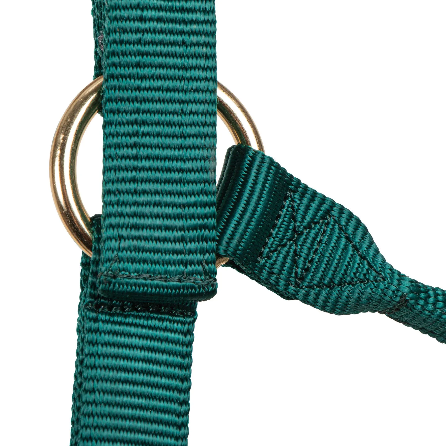 Big "D" Nylon Halter - Image 6