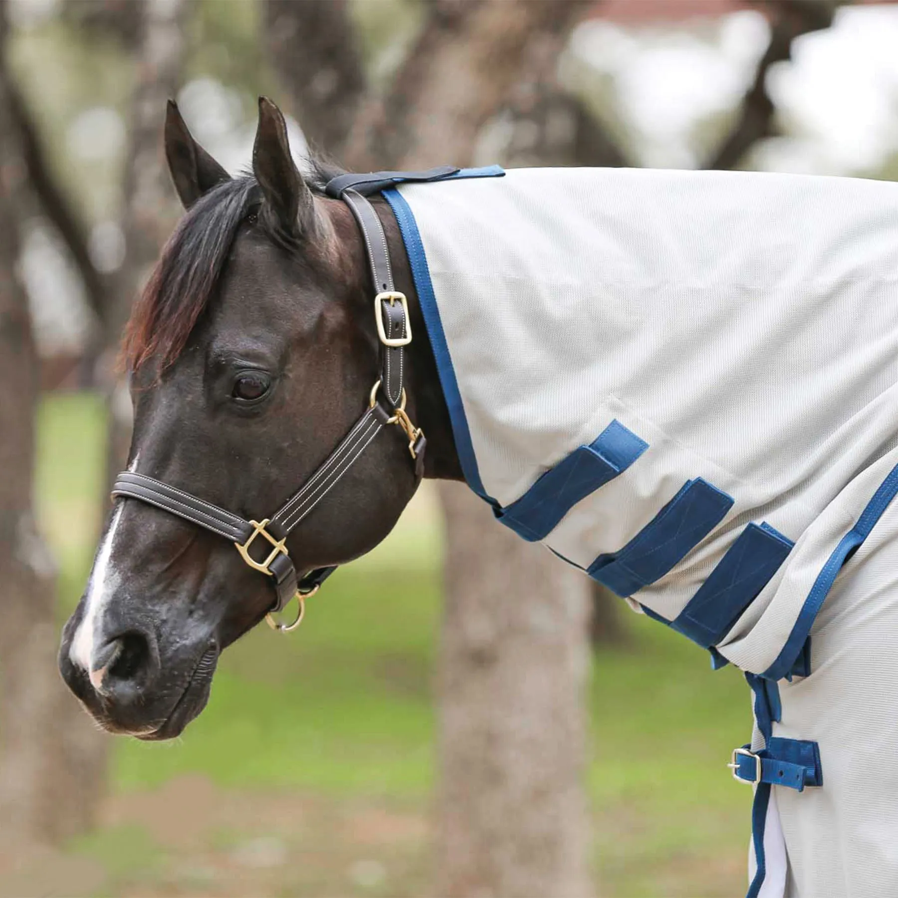 Soft Interlock Mesh Attached Neck Euro Bellyband Leg Shield Horse Fly Sheet - Image 13