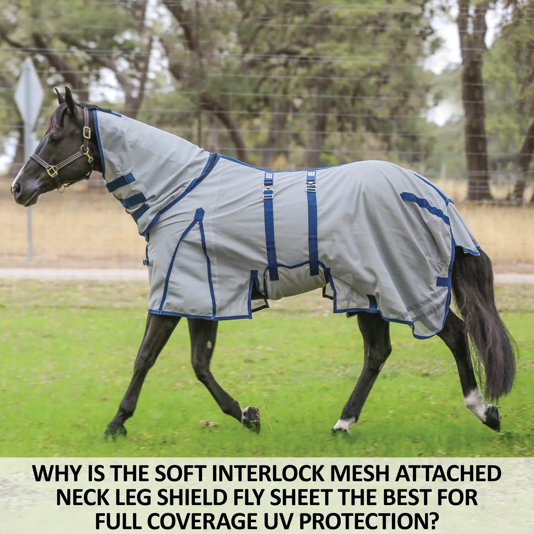 Soft Interlock Mesh Attached Neck Euro Bellyband Leg Shield Horse Fly Sheet - Image 2