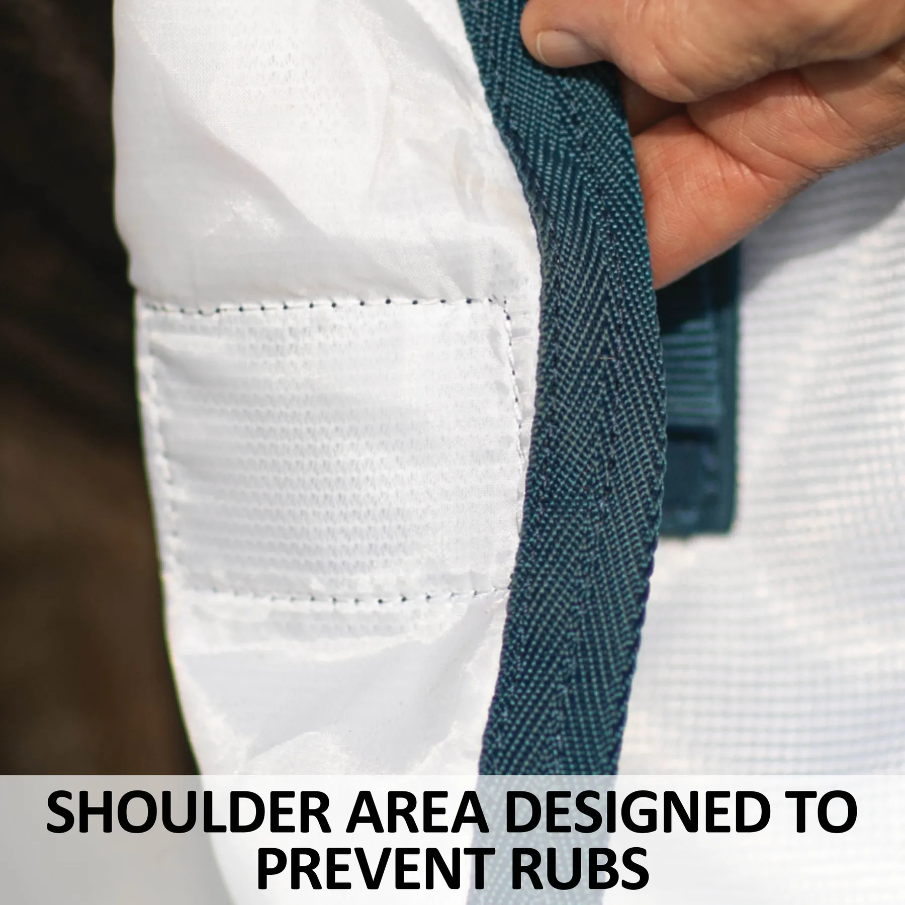 Soft Interlock Mesh Attached Neck Euro Bellyband Leg Shield Horse Fly Sheet - Image 7