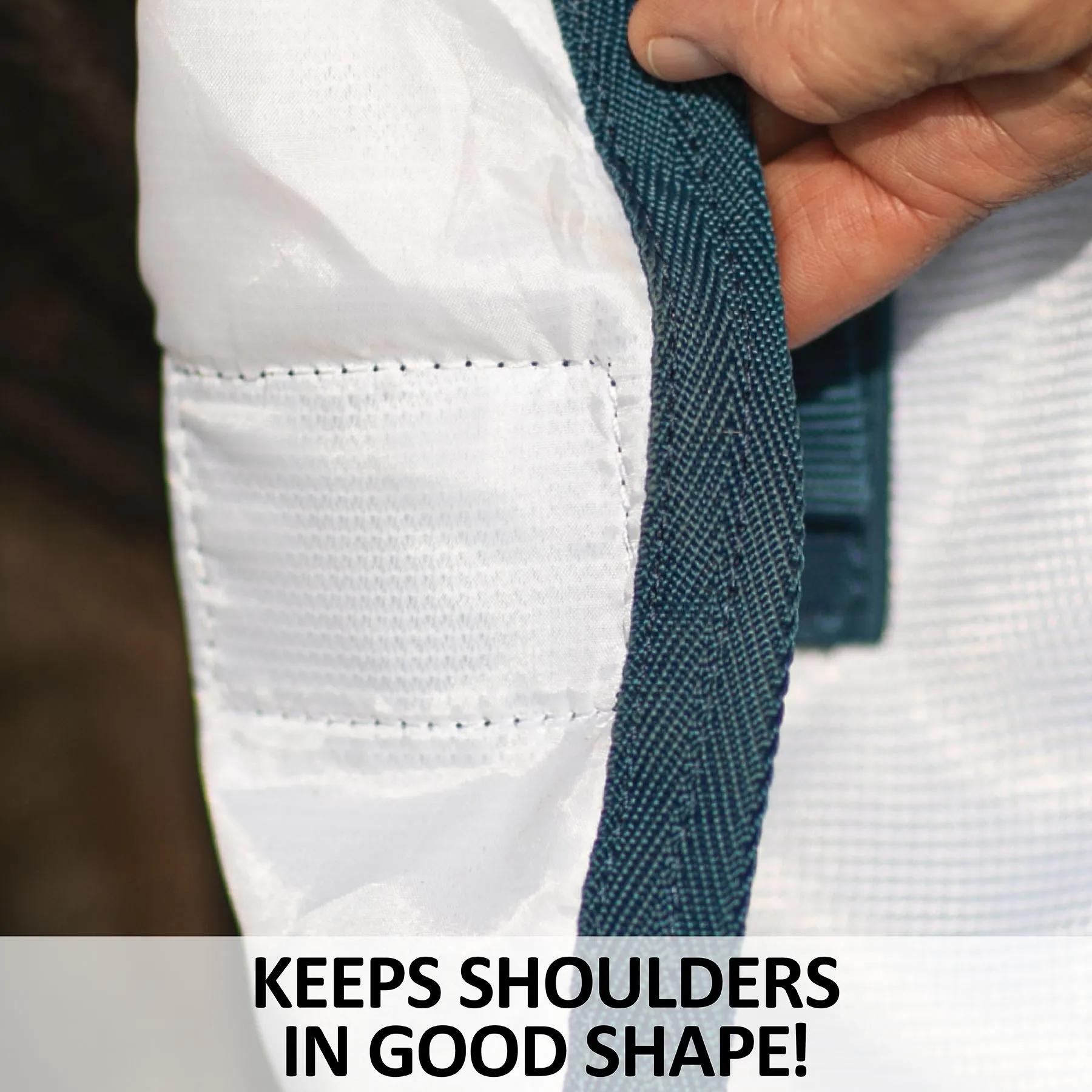 Soft Interlock Mesh Attached Neck Euro Bellyband Leg Shield Horse Fly Sheet - Image 11