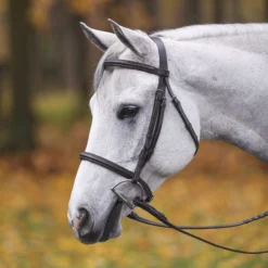 Premier® Premier Petite Raised Padded Bridle