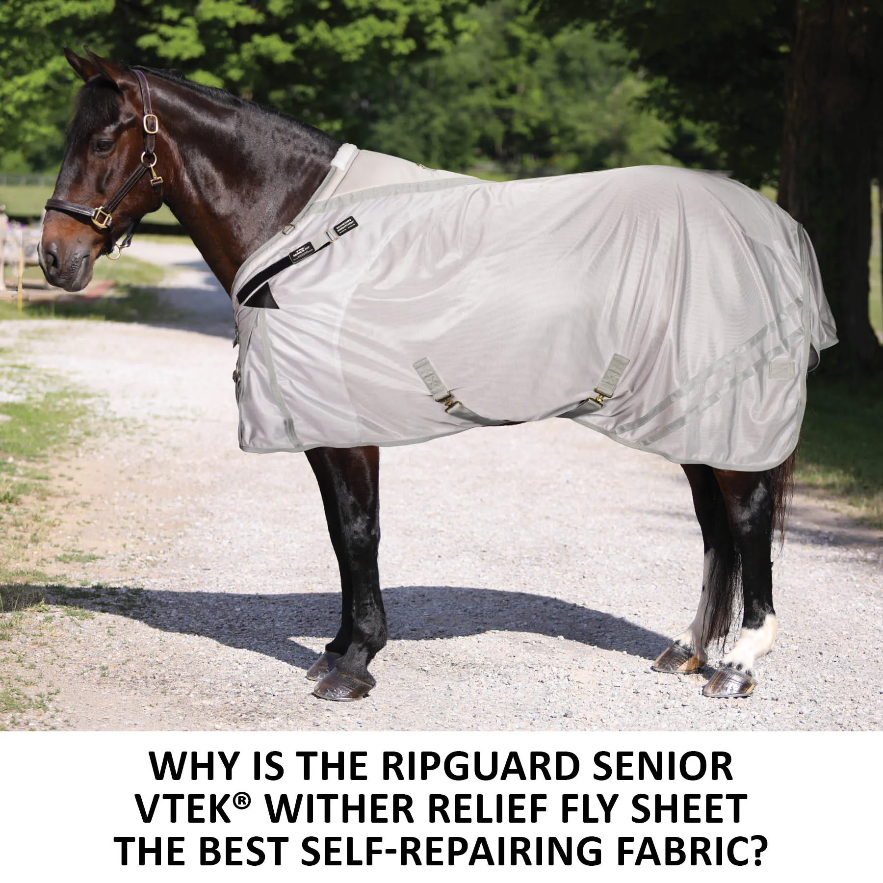 RipGuard Senior VTEK® Wither Relief Adjusta-Fit® Surcingle Horse Fly Sheet - Image 2