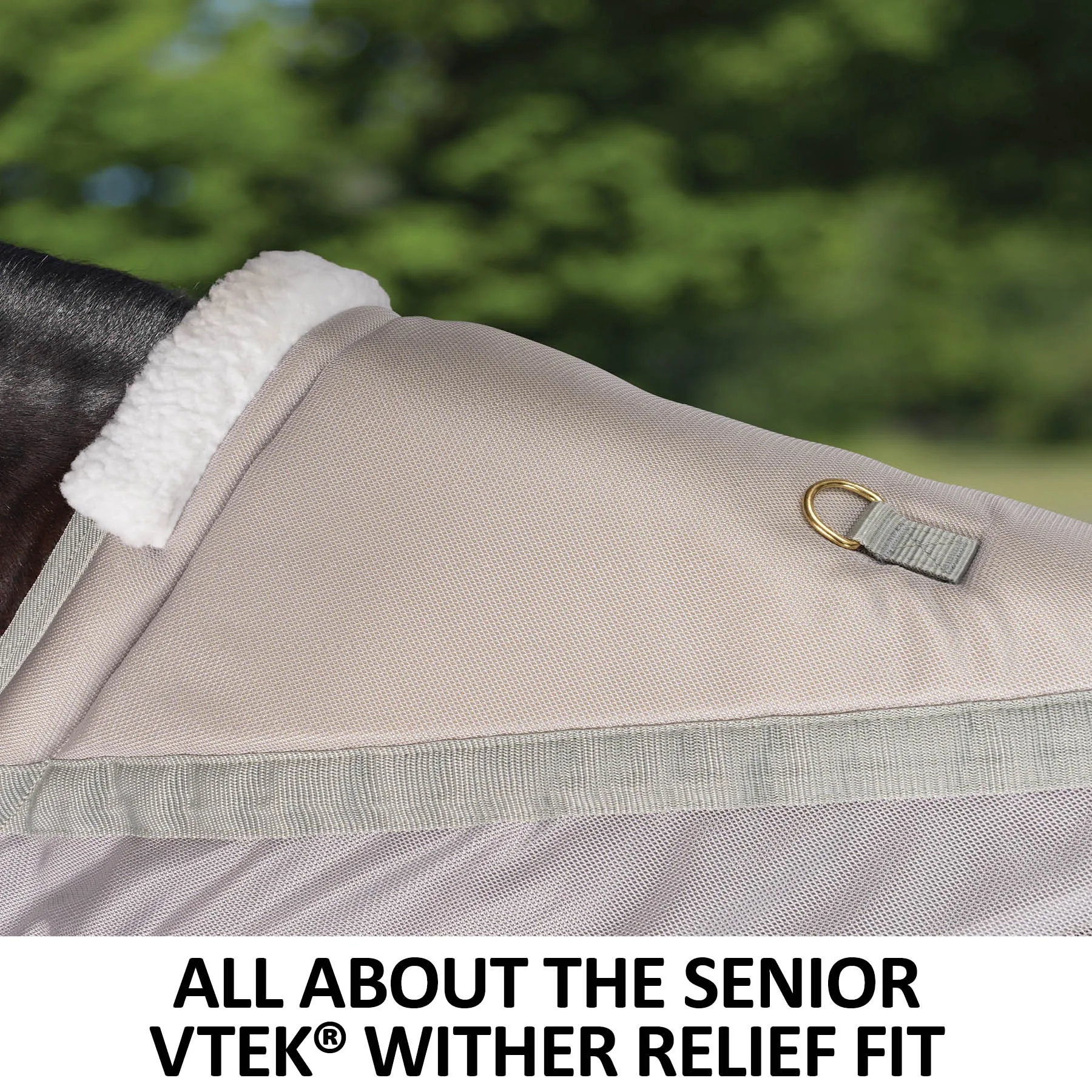 RipGuard Senior VTEK® Wither Relief Adjusta-Fit® Surcingle Horse Fly Sheet - Image 4
