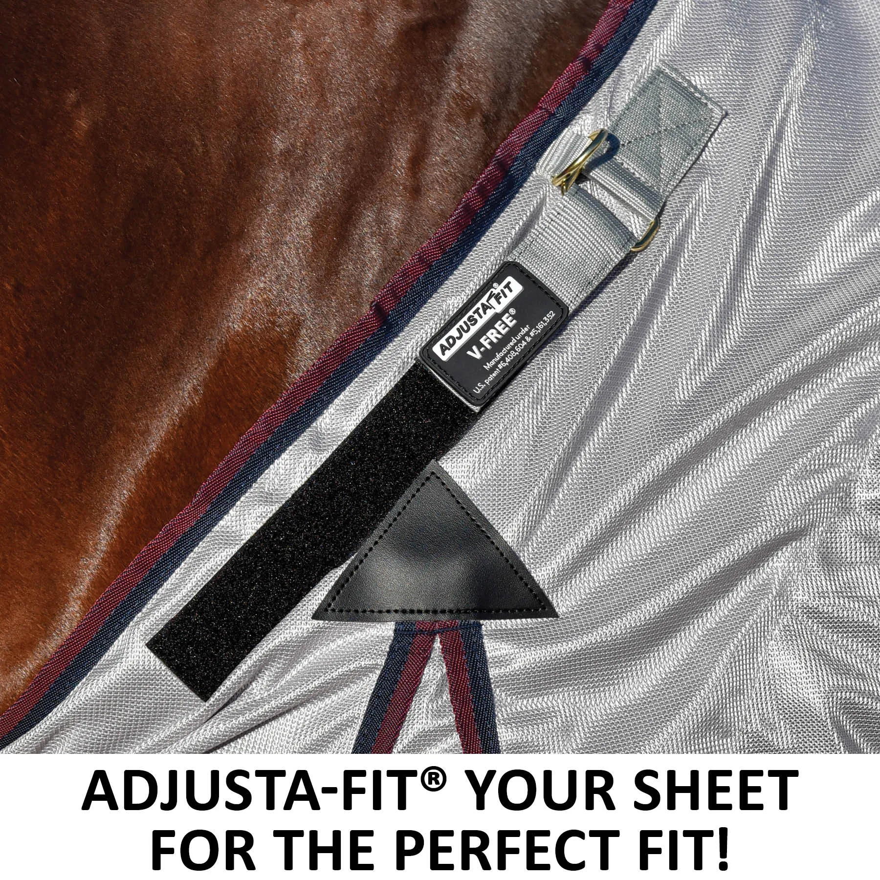 RipGuard Senior VTEK® Wither Relief Adjusta-Fit® Surcingle Horse Fly Sheet - Image 5