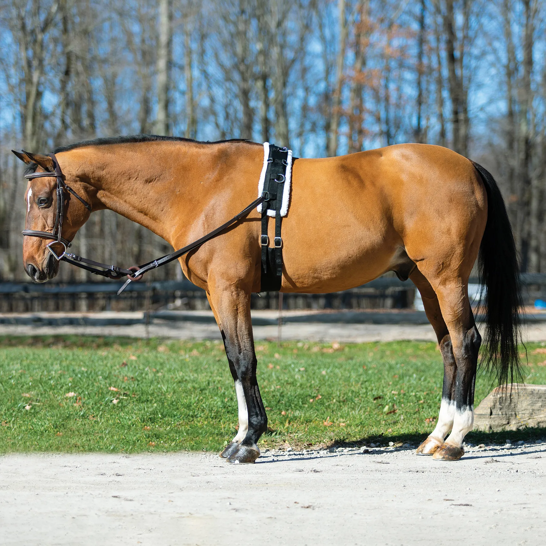 Dura-Tech Fleece Lined Training Surcingle For Horses - Image 6