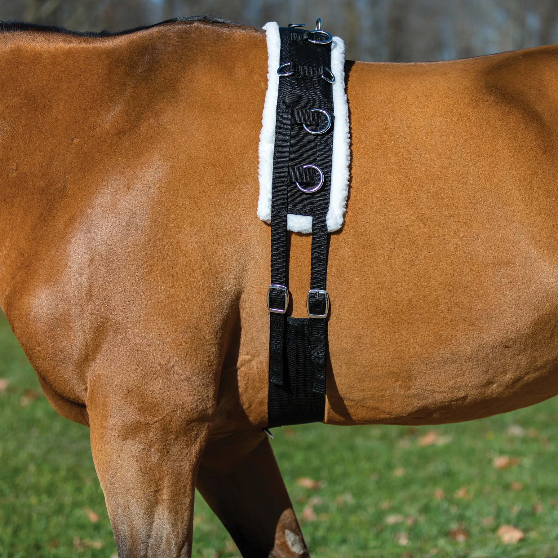 Dura-Tech Fleece Lined Training Surcingle For Horses - Image 7