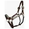 Double S Dixie Horse Show Halter With Lead