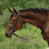 Schneiders® Flat Padded Hunter Bridle With Fancy Stitching