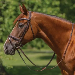 Schneiders® Monocrown Flash Bridle With Crystal Swoop Browband
