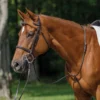 Schneiders® Raised Standing Martingale With Fancy Stitching