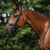 Schneiders® Ergonomic Monocrown Dressage Bridle With Crank Noseband