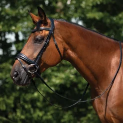 Schneiders® Ergonomic Monocrown Dressage Bridle With Crank Noseband