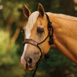 Schneiders® Mule Tape Rope Halter With Tooled Nose