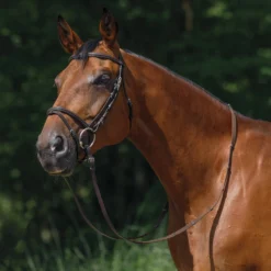 Schneiders® Traditional Padded Flash Noseband Bridle